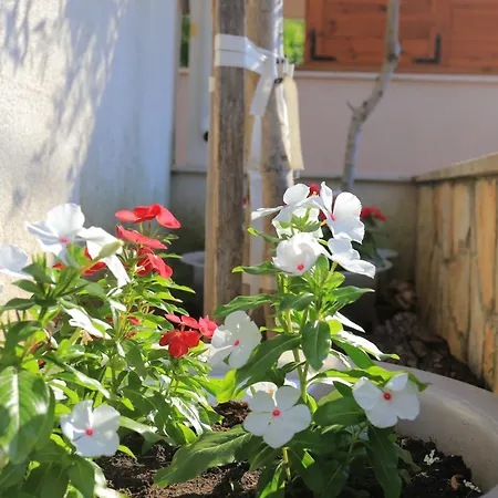 By The Sea Seget Vranjica, - 13771 Appartement Trogir